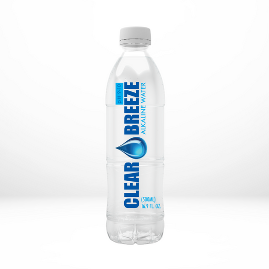 1 Bottle of Alkaline Water